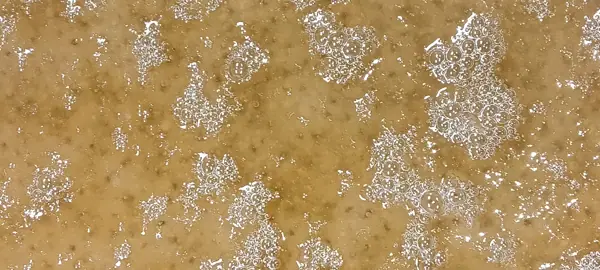 Close-up of cannabis concentrate texture