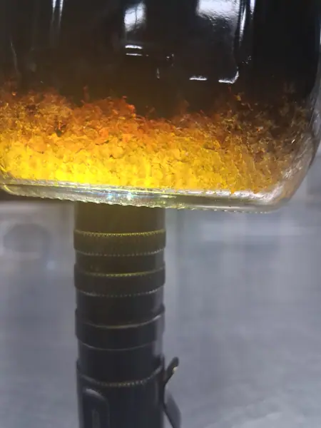 Golden cannabis extract during post-processing