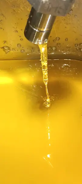 Golden cannabis extract during post-processing