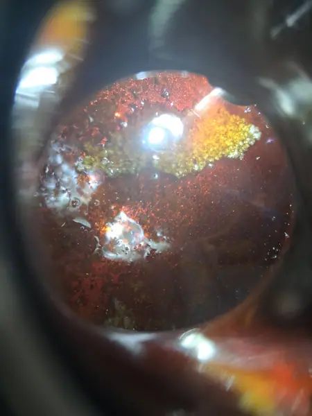 Live resin sauce and badder concentrate