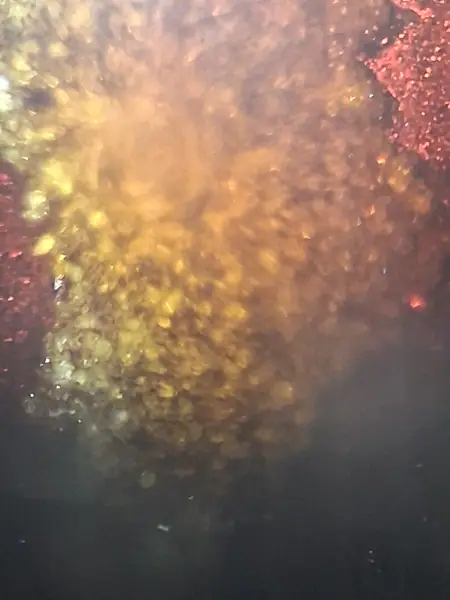 Live resin sauce and badder concentrate