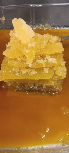 Live resin sauce and badder concentrate