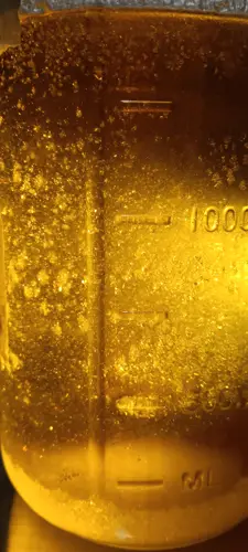 Winterization & Dewaxing