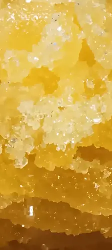 Terpene Separation (HTFSE)